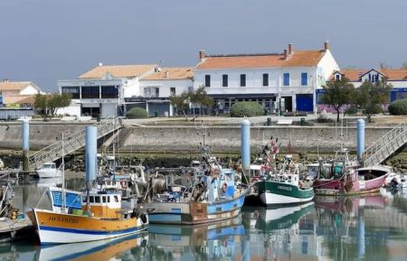 G&icirc;te n&deg;17G64030 Saint-Pierre-d'Ol&eacute;ron - Charente-Maritime - Port &agrave; mar&eacute;e basse &agrave; 800 m&egrave;tres