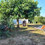 gite - MAISON CALME ANCIENNE FERME - SAINT GEORGES D'OLERON - Charente-Maritime