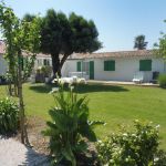 gite - L'olivier - SAINT PIERRE D'OLERON - Charente-Maritime