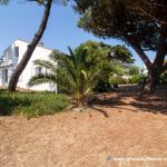 gite - MON DADA - SAINT GEORGES D'OLERON - Charente-Maritime