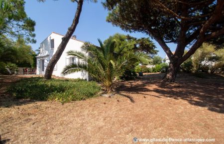 G&icirc;te n&deg;17G64361 Saint-Georges-d'Ol&eacute;ron - Charente-Maritime - photo