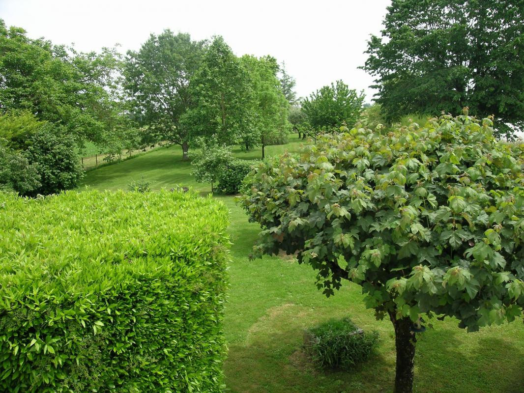 photo 36