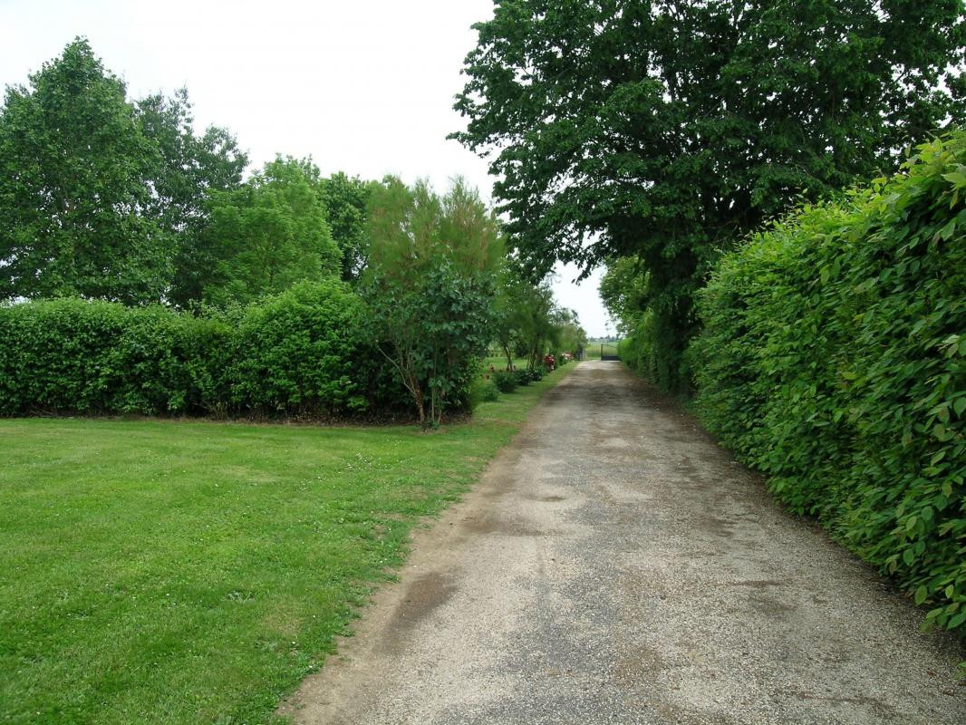 photo 34