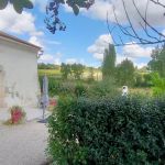 gite - CHEZ PLAINEAU - SALIGNAC DE MIRAMBEAU - Charente-Maritime